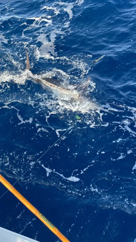 Fishing in San Juan, Puerto Rico