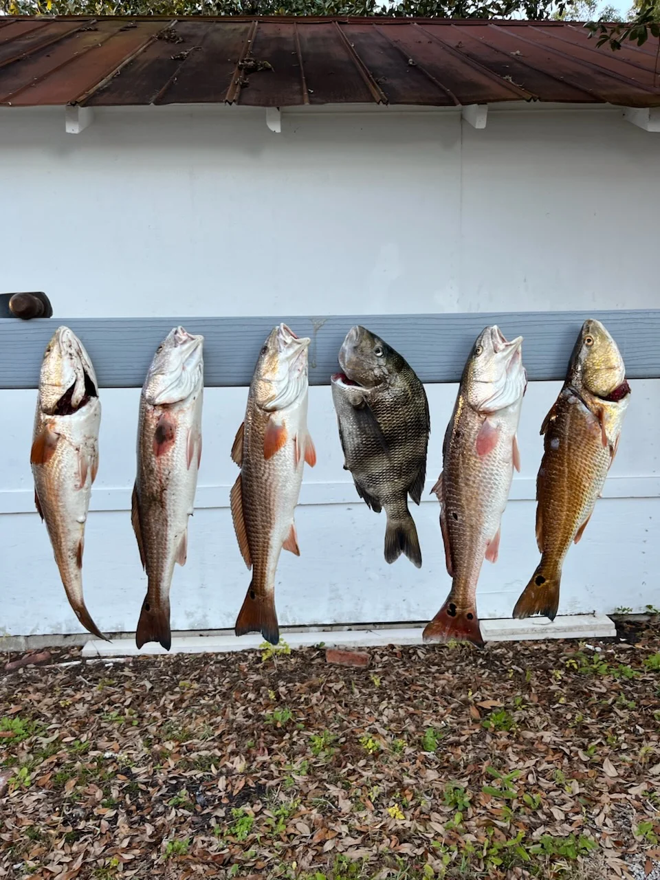 Fishing in Apalachicola, Florida