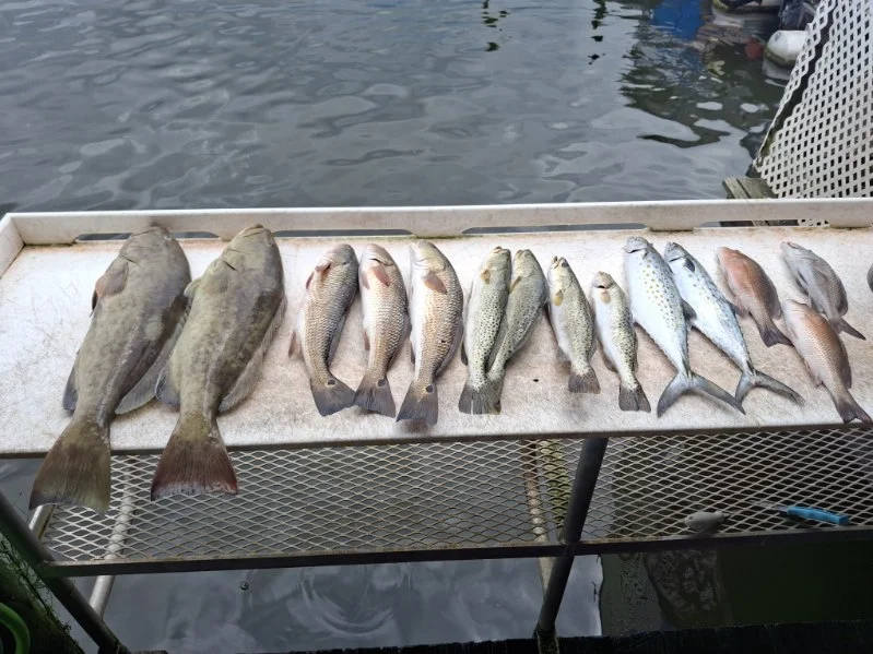 Fishing in Crystal River, Florida