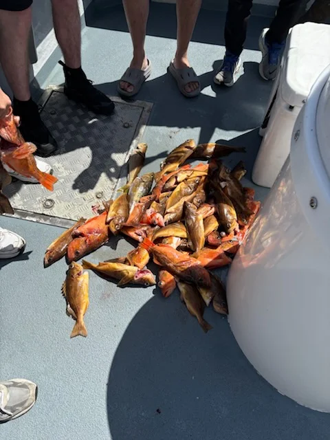 Fishing in Marina del Rey, California