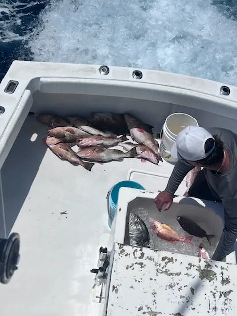 Fishing in Clearwater, Florida