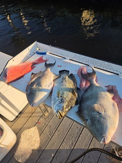 Fishing in Clearwater, Florida