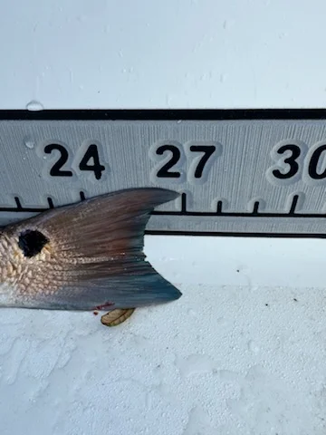 Fishing in St. Augustine, Florida