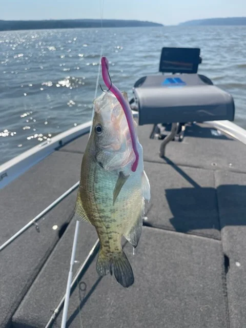 Fishing in Dardanelle, Arkansas