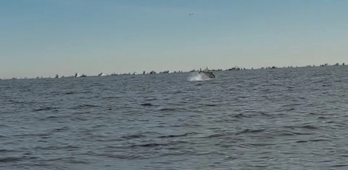 Fishing in Freeport, New York