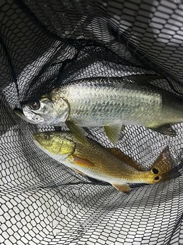 Fishing in Port Orange, Florida