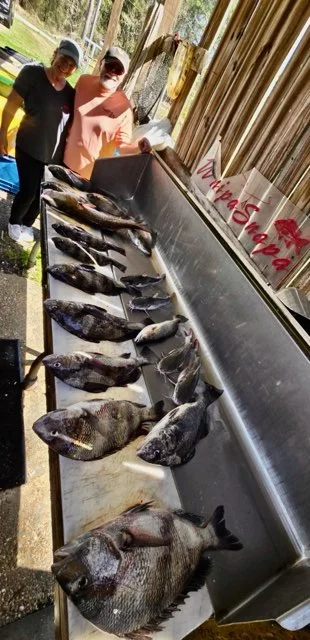 Fishing in D'Iberville, Mississippi