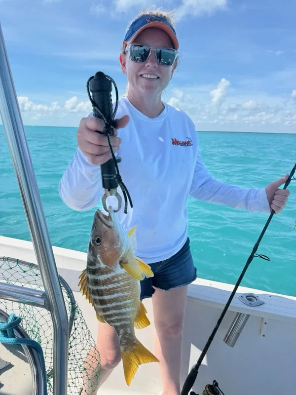 Mangrove Snapper, Yellowtail Snapper Fishing in Key Largo, Florida