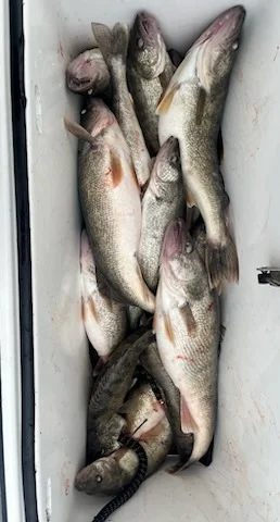 Fishing in Oak Harbor, Ohio