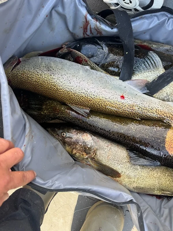 Fishing in Harrietta, Michigan