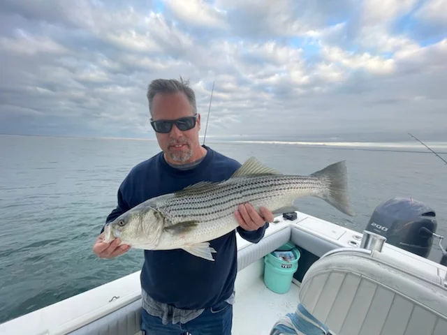 Little Tunny / False Albacore fishing in Chatham, Massachusetts