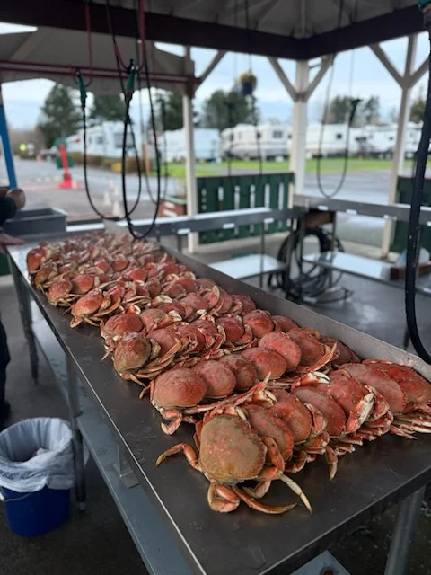 Fishing in Garibaldi, Oregon