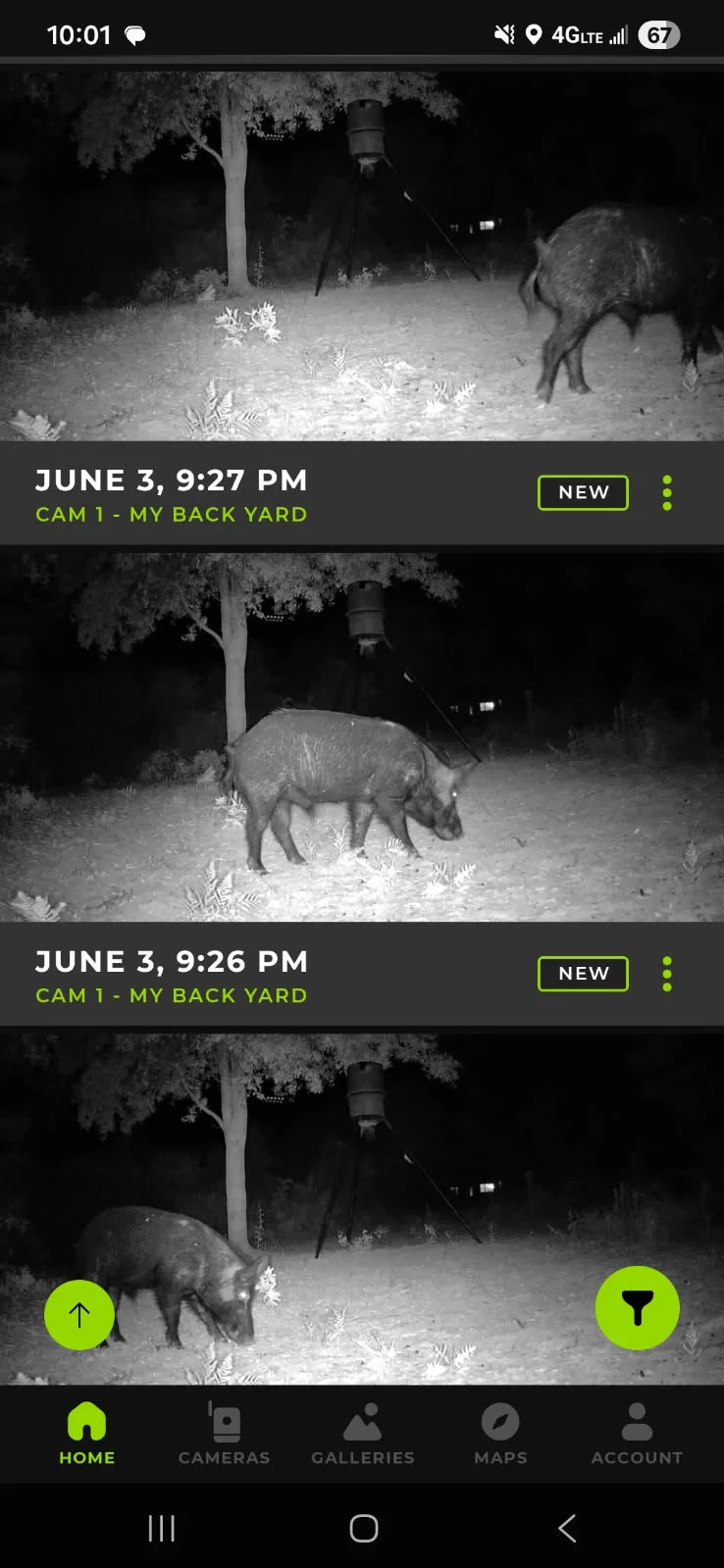 Hunting in Crestview, Florida