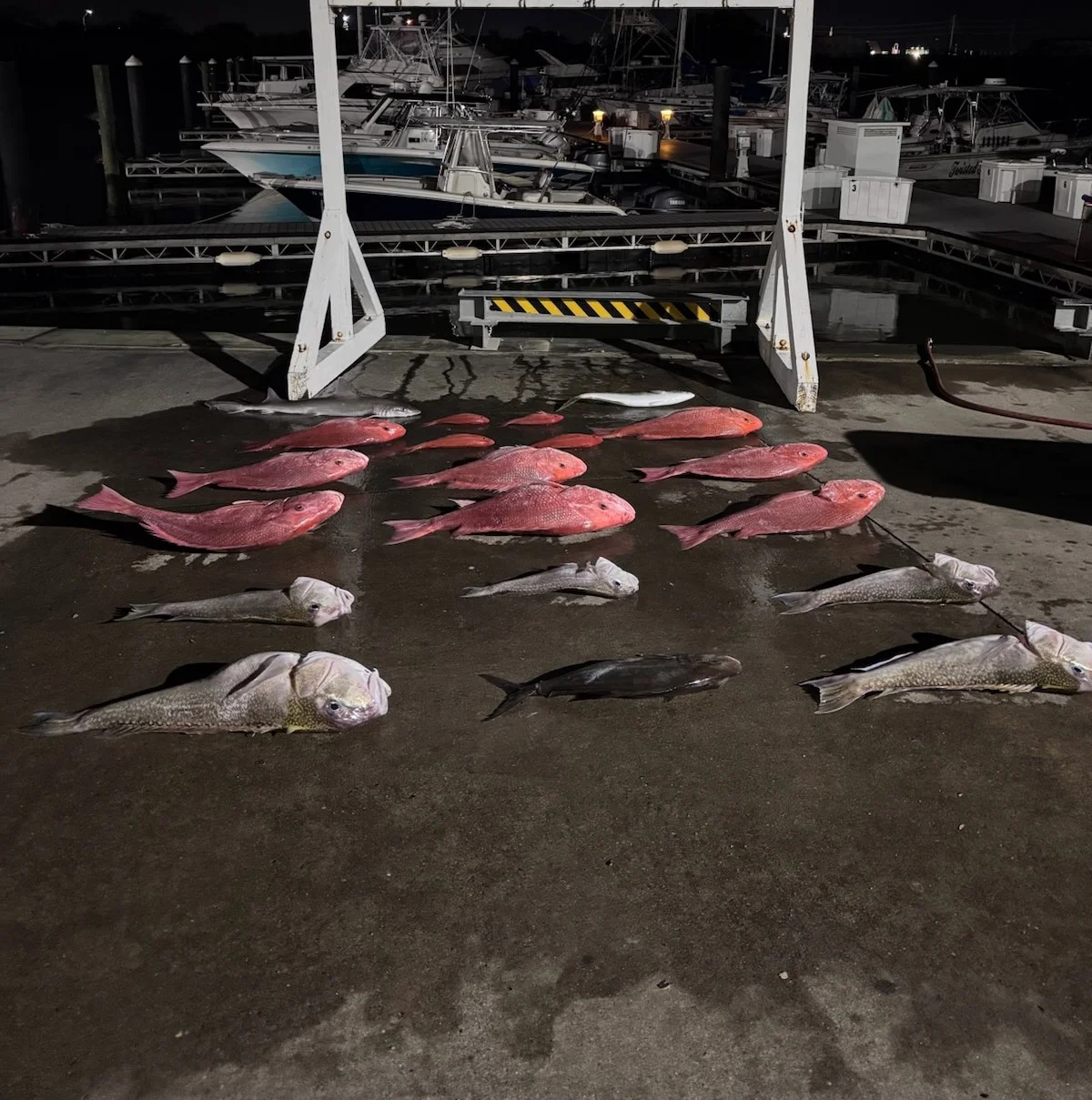 Fishing in Freeport, Texas