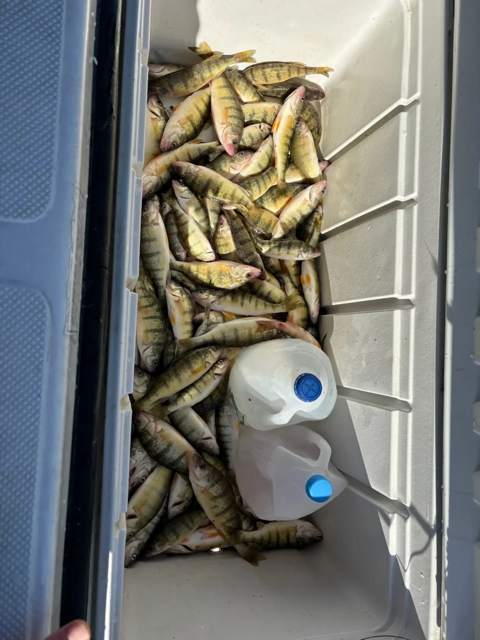 Fishing in Oak Harbor, Ohio