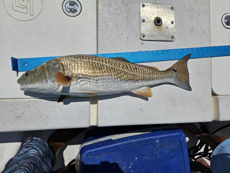 Fishing in Cedar Key, Florida