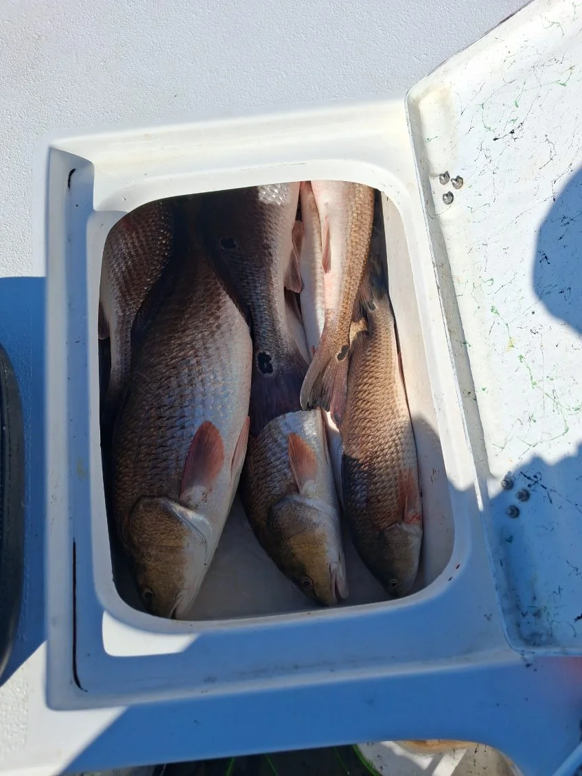 Fishing in Lafitte, Louisiana