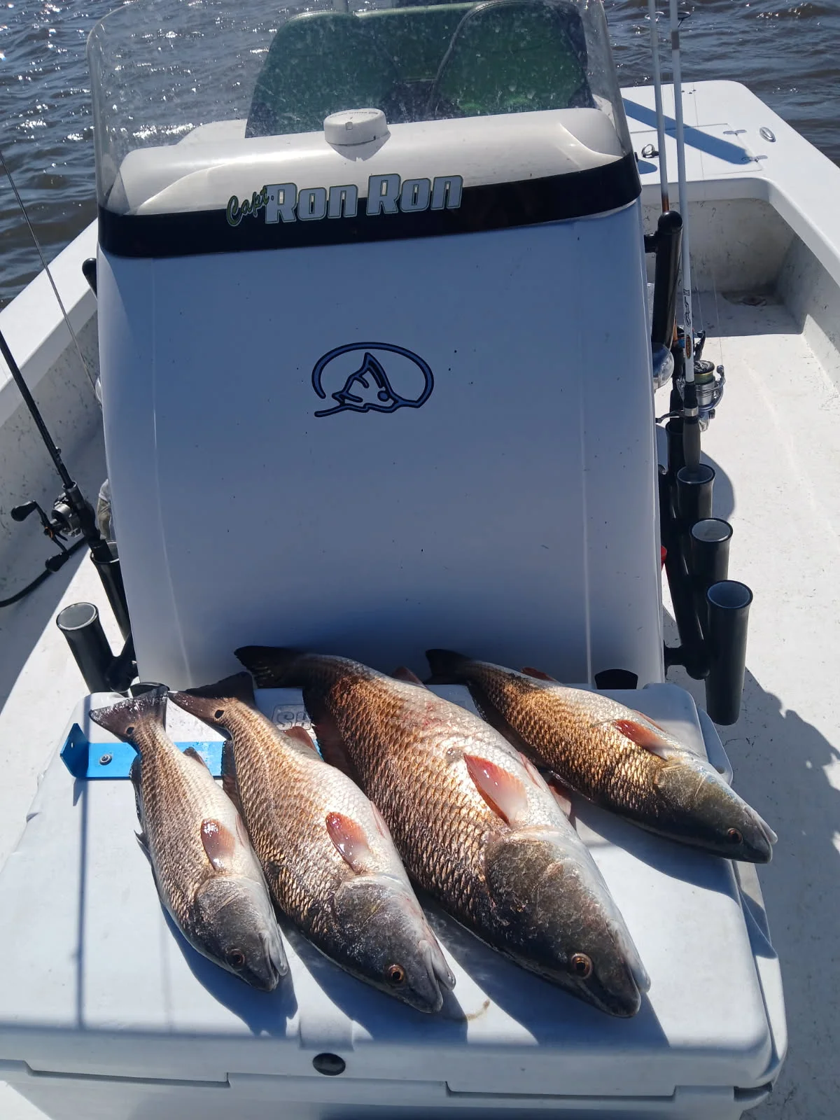 Fishing in Lafitte, Louisiana
