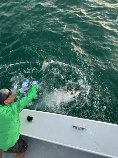 Fishing in Holmes Beach, Florida