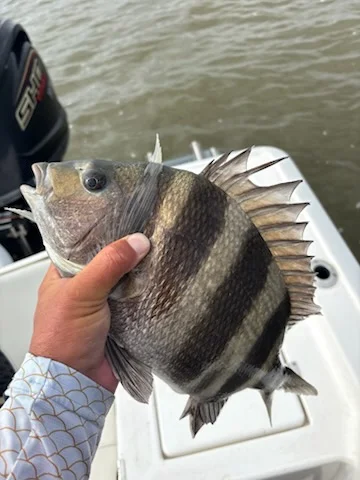 Fishing in Lake Charles, Louisiana