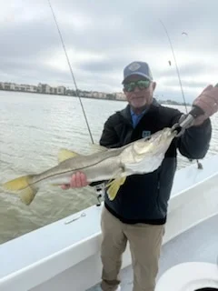 Snook Fishing in Bradenton, Florida