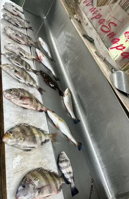 Fishing in D'Iberville, Mississippi