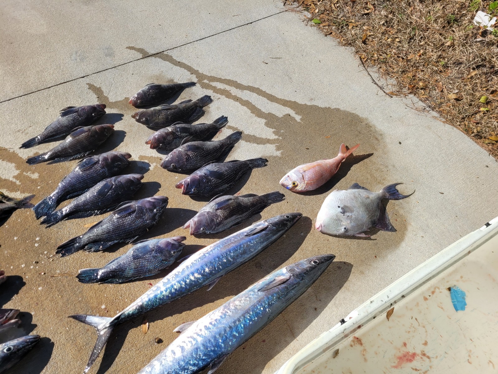 Fishing in Wrightsville Beach, North Carolina