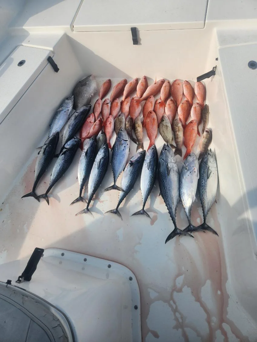 Fishing in Pensacola, Florida