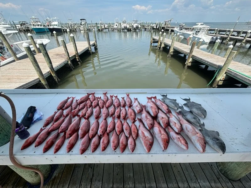 Fishing in Foley, Alabama