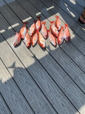 Fishing in Destin, Florida
