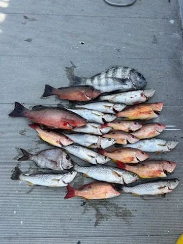 Fishing in Port Orange, Florida