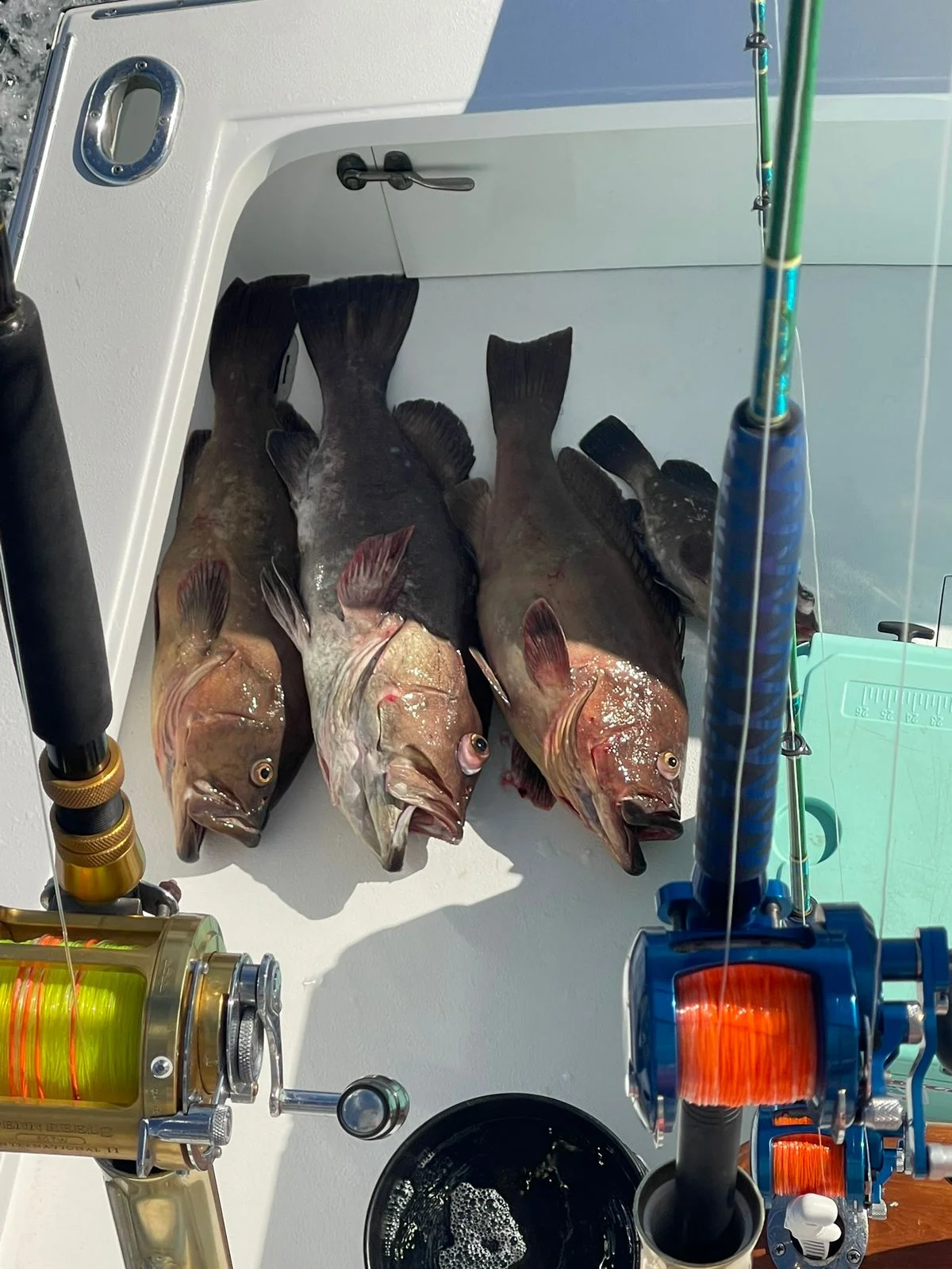 Fishing in Quepos, Costa Rica