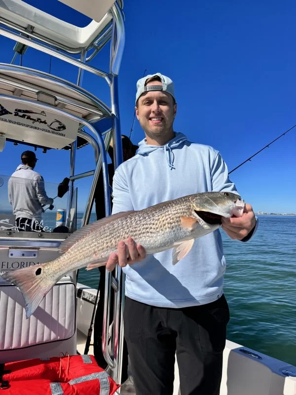 Fishing in Sarasota, Florida