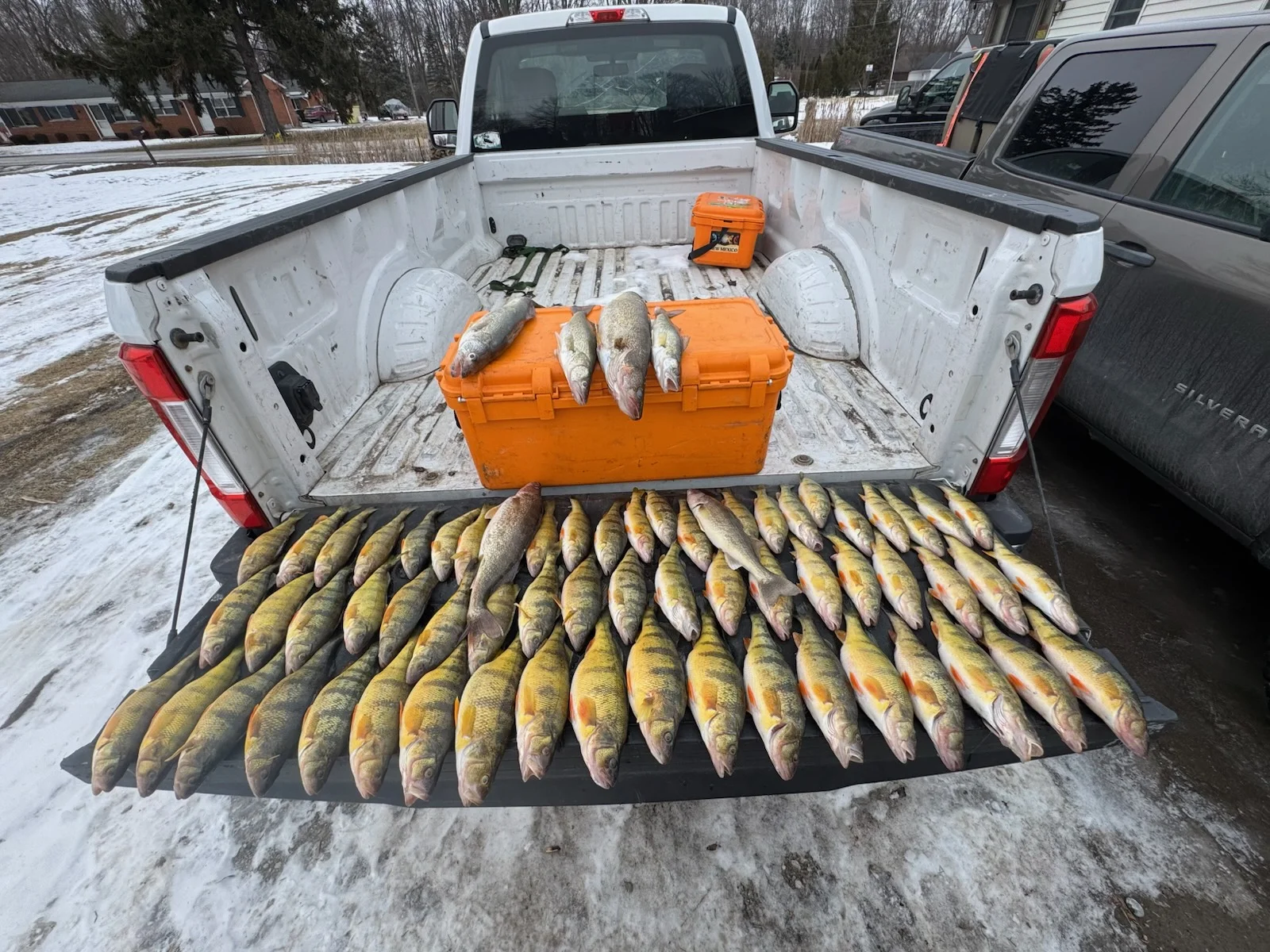 Fishing in Casco, Michigan