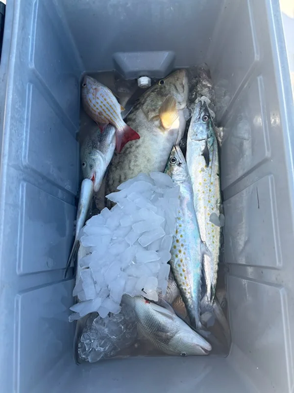 Fishing in Sarasota, Florida