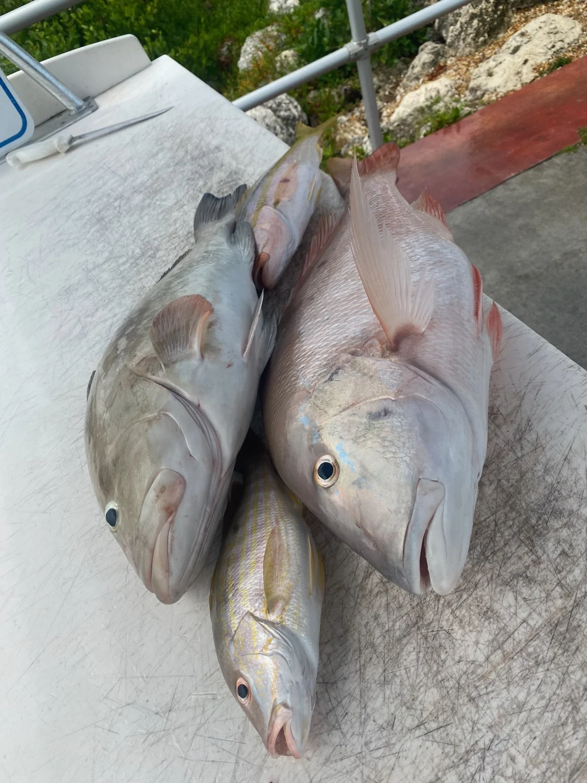 Fishing in Key West, Florida