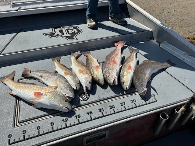 Fishing in Ingleside, Texas