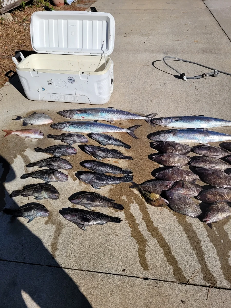 Fishing in Wrightsville Beach, North Carolina