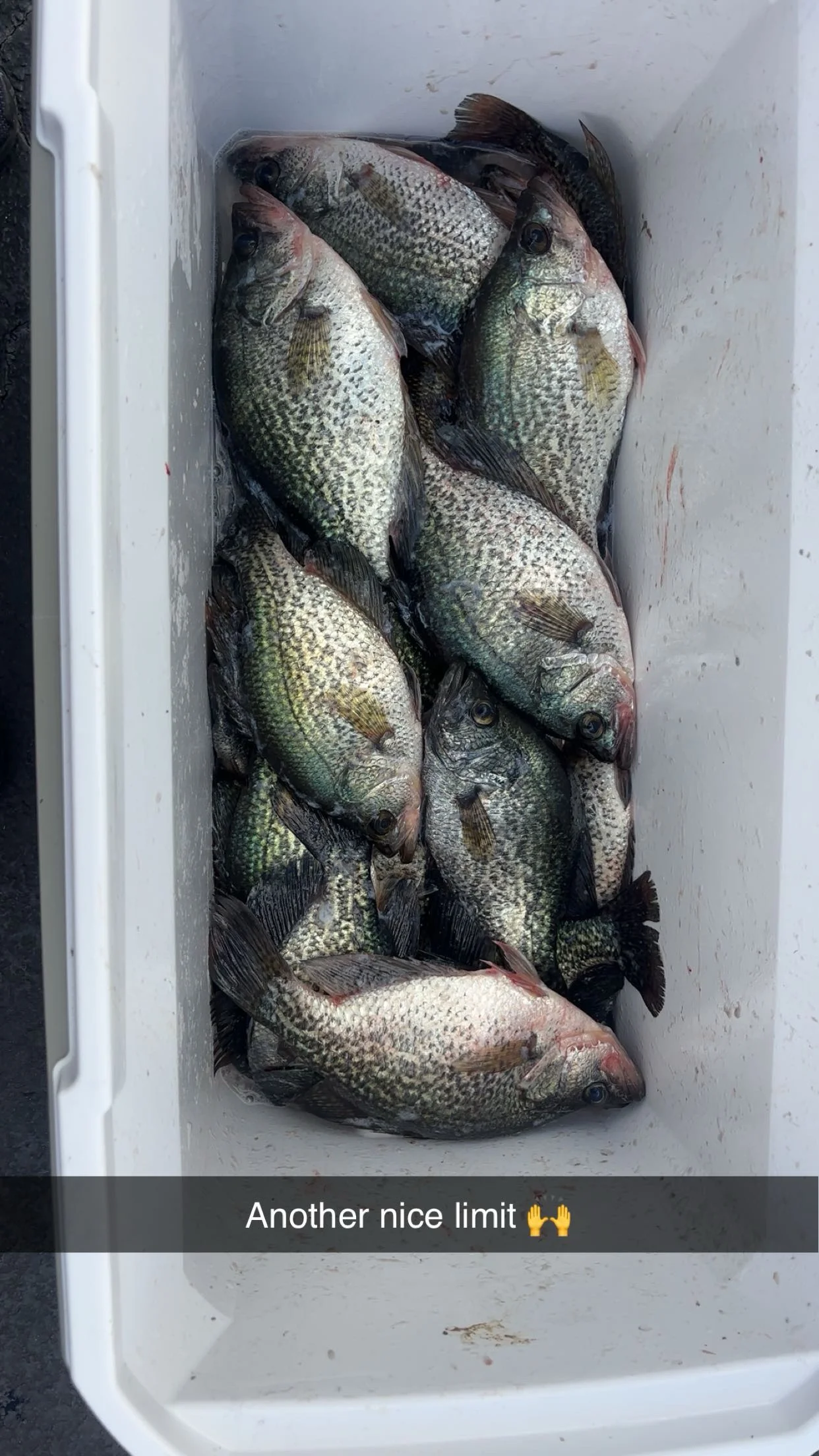 Fishing in Clewiston, Florida
