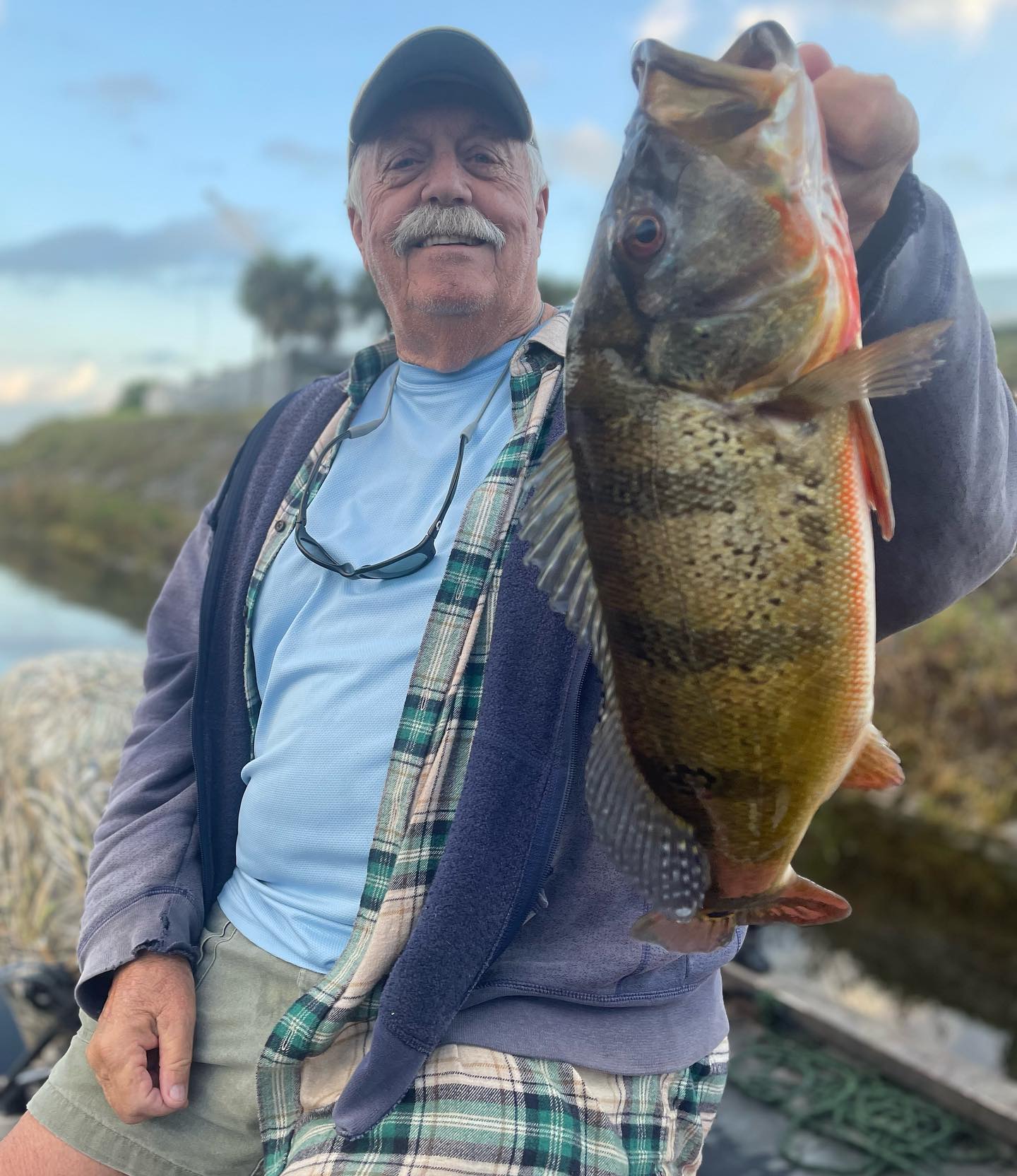 Clown Knifefish Fishing in Delray Beach, Florida