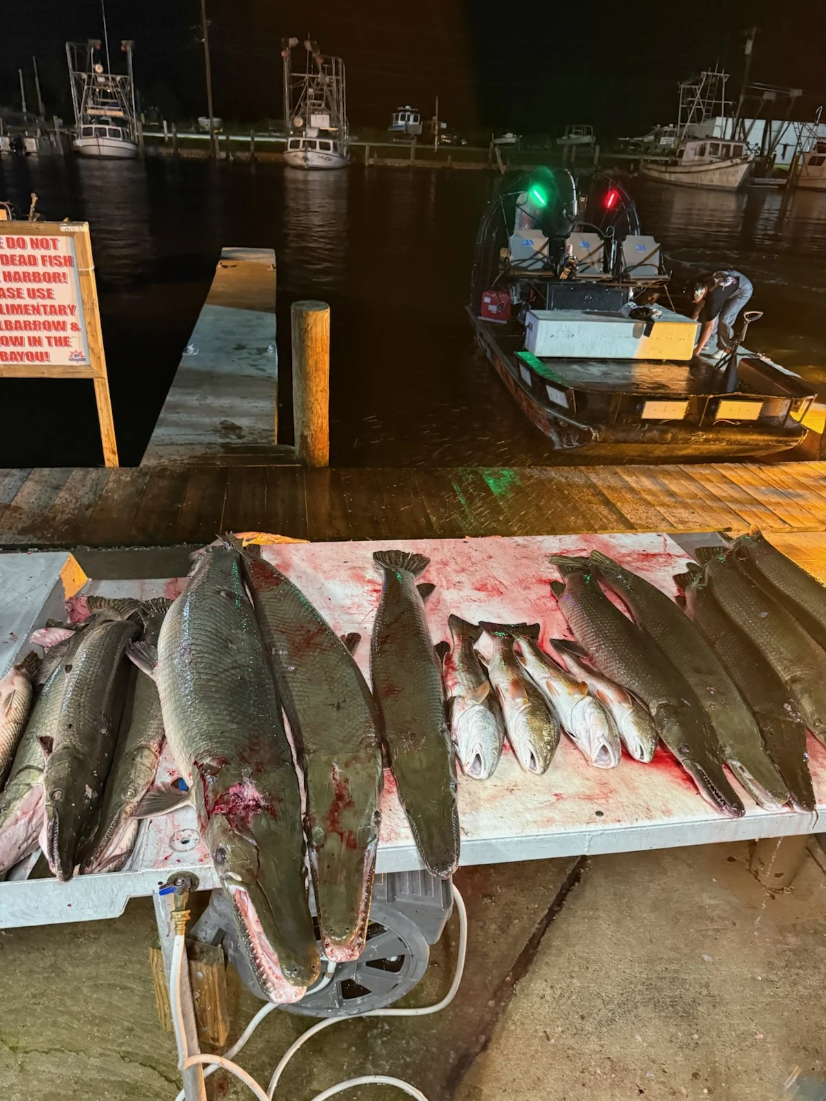 Fishing in Lafitte, Louisiana
