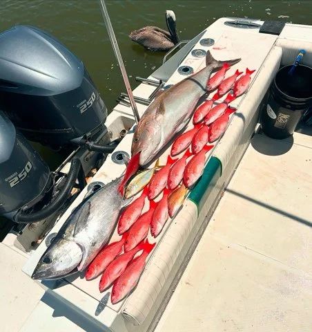 Fishing in New Smyrna Beach, Florida