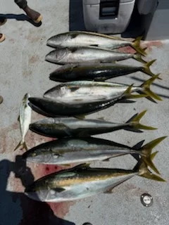 Fishing in Marina del Rey, California