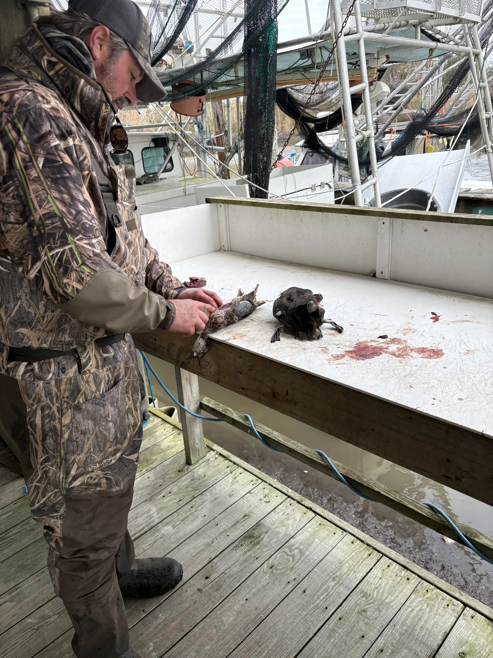 Photo from Jackson