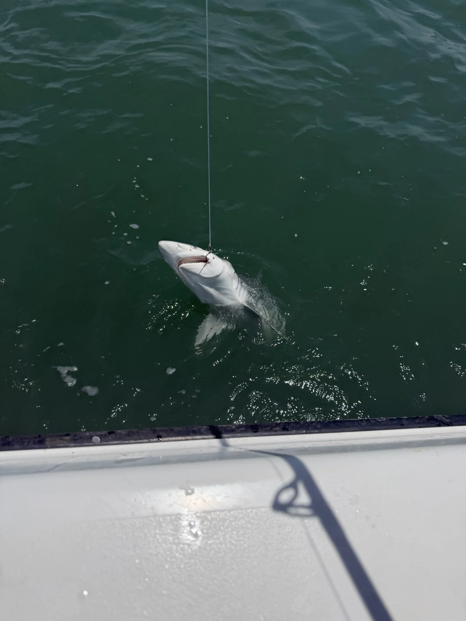 Photo from Alexis