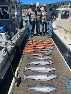 Photo from Kip