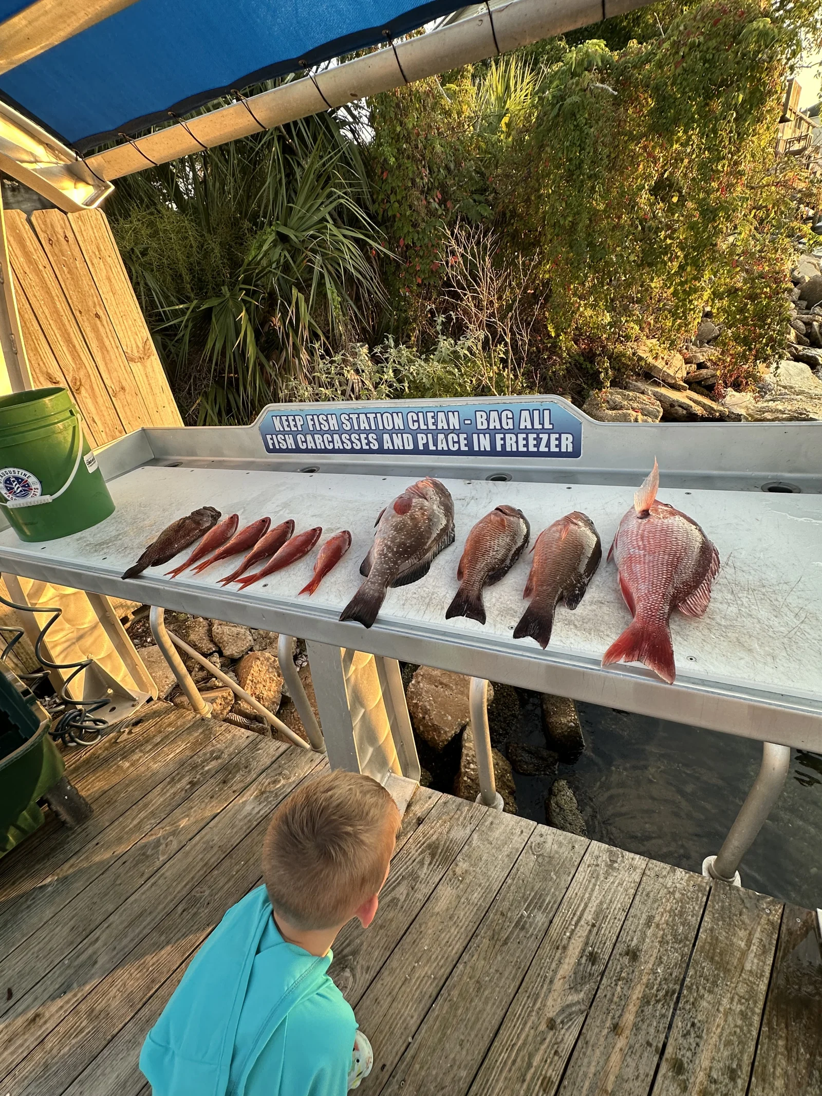 Photo from Landon