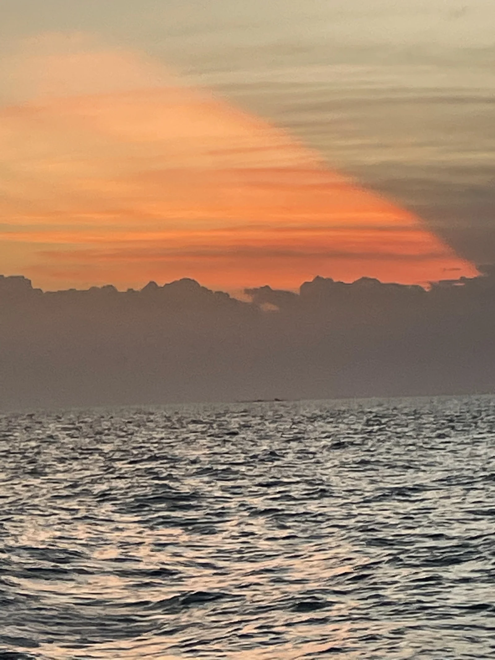 Photo from Lynn