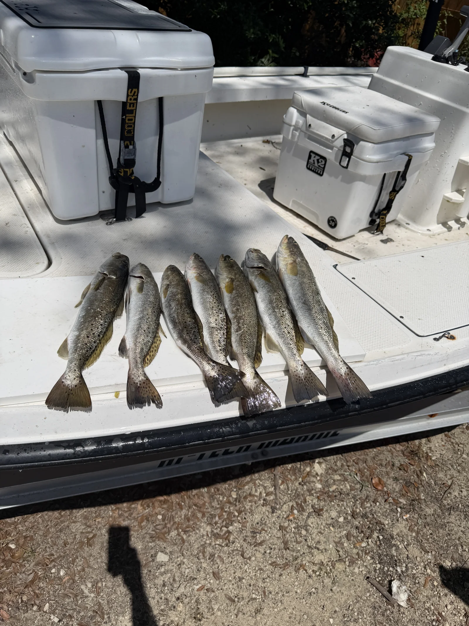 Photo from Alvin