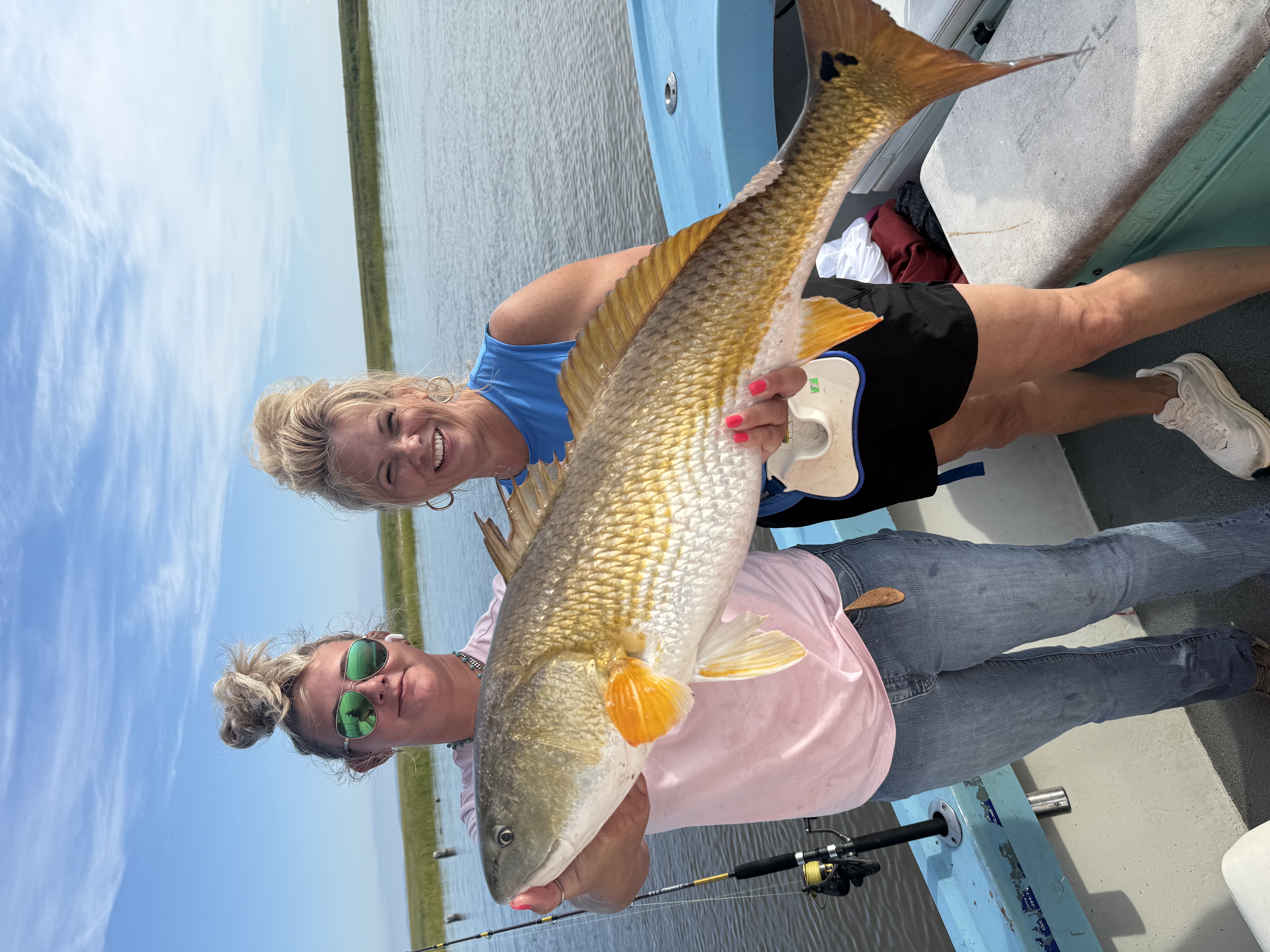 Photo from Penny
